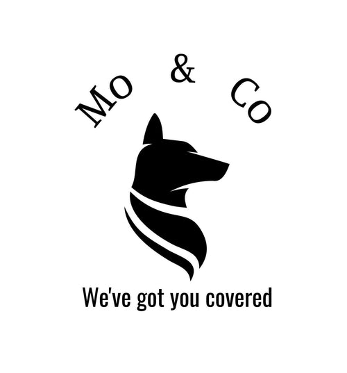 Mo & Co